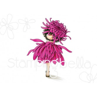 Chrysanthemum